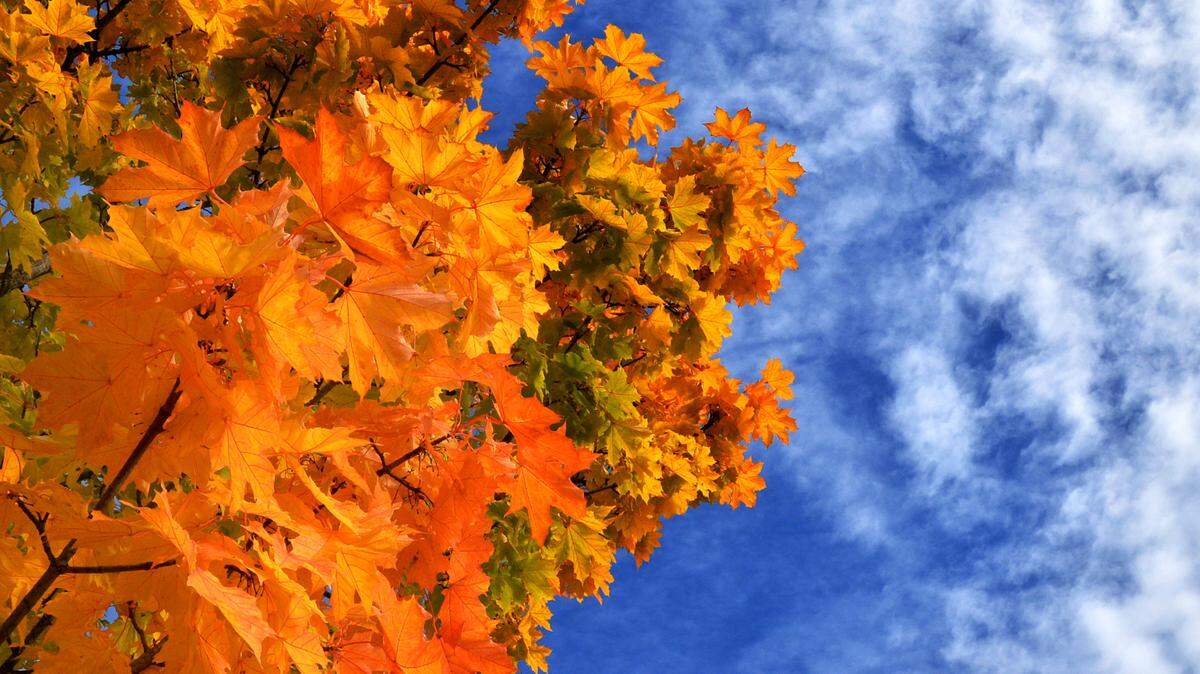 Fall officially starts Saturday with the autumn equinox. Here’s how quickly Kansans will lose daylight.