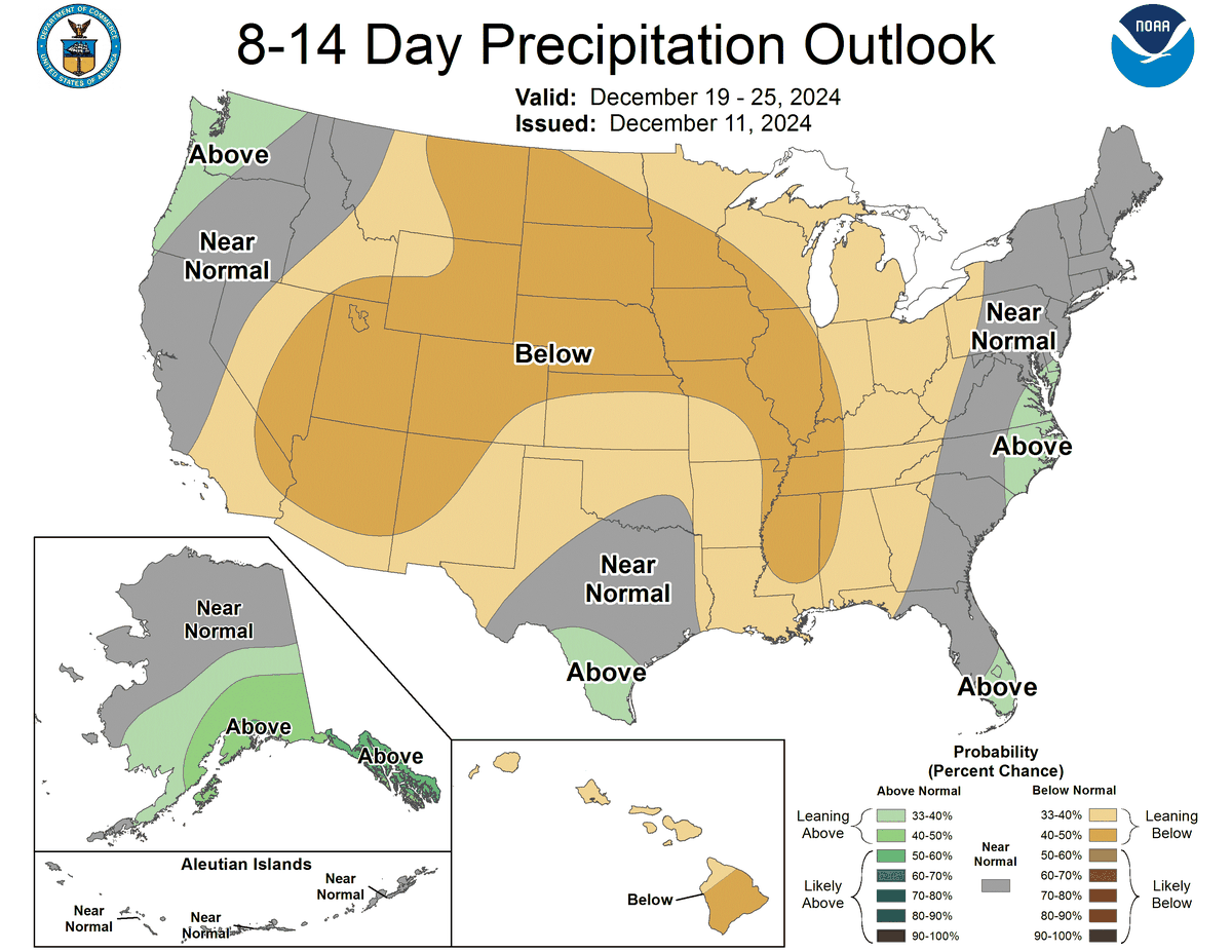 Near normal precipitation is likely in Dallas-Fort Worth on Christmas Day.
