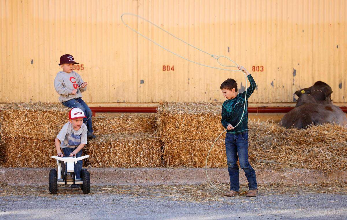 JANUARY 18, 4:14 p.m. - Bode Halamiek, 8, of Mason, right, tries to rope a toy steer while playing with Kaden Klepac, 5, of Fredericksburg, top left, and Hayden Hohertz, 6, of Zephyr at the Fort Worth Stock Show & Rodeo.
