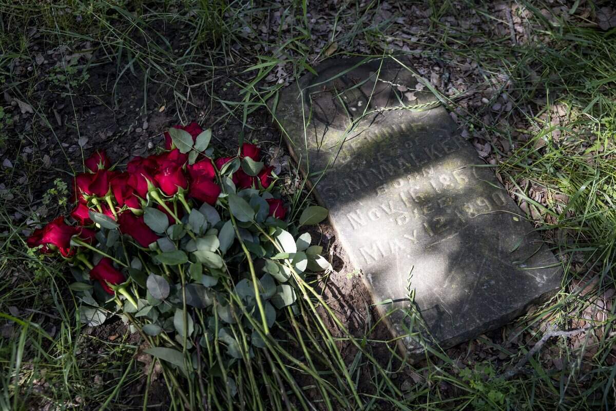 The St. John's Cemetery Association lays roses near a grave to remember those who are buried at the cemetery on Saturday, May 9, 2026, Pilot Point, Texas. The association has been working to gain access to preserve the oldest African American cemetery in Denton County.