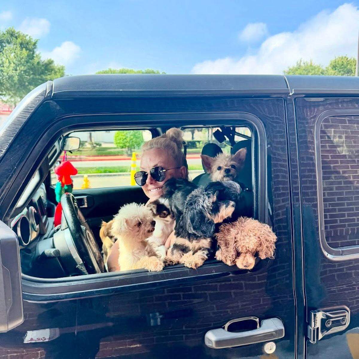 Adrienne Wyse and her husband Adam care for old, sick or feral dogs that are usually considered unadoptable.
