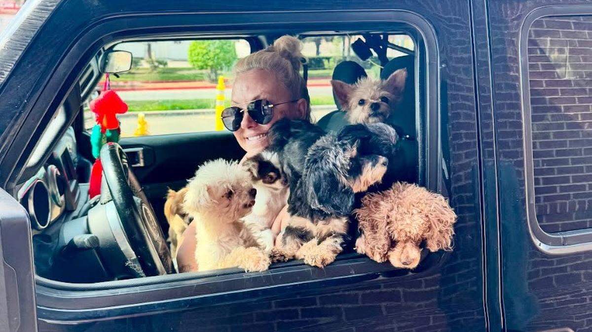 Adrienne Wyse and her husband Adam care for old, sick or feral dogs that are usually considered unadoptable.