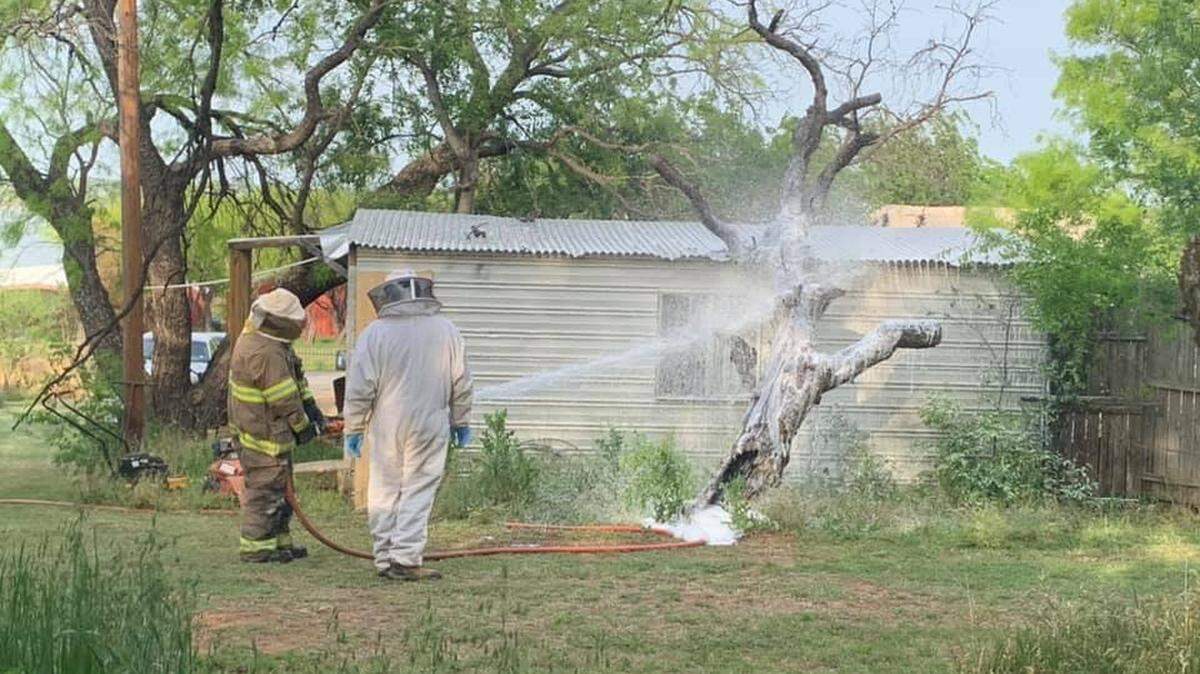 One person was killed and another was hospitalized in what Texas fire officials are calling a “bee attack.”