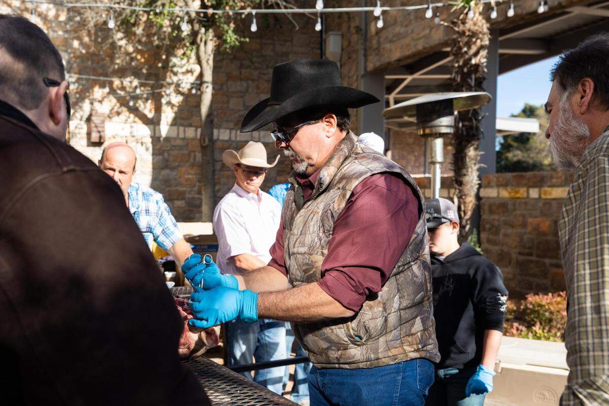 Kent Munden, an animal identification coordinator at USDA APHIS, draws samples from a sheep head to demonstrate how to collect samples for chronic wasting disease (CWD) testing during the Deer Breeding Corp. auction in January 2022 at Horseshoe Bay Resort.