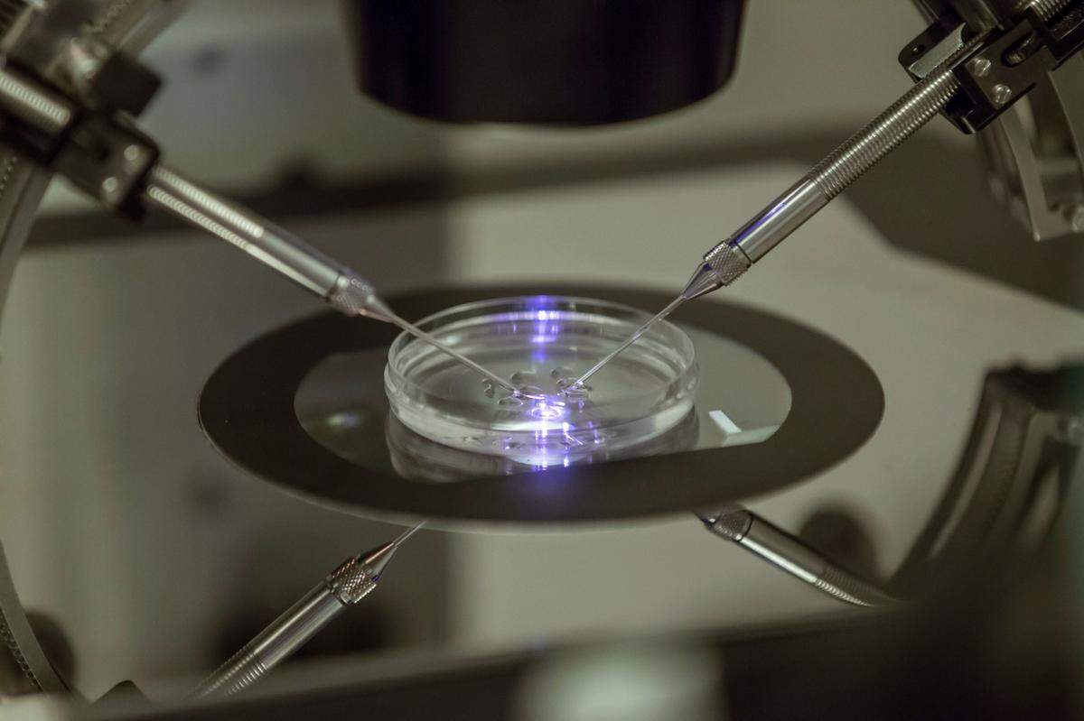 FILE - In this Aug. 14, 2013 file photo, an in vitro fertilization embryologist works on a petri dish at a fertility clinic in London. Tens of thousands of people undergo in vitro fertilization every year, but many don’t know how costly the process is until they’re facing the decision head-on. One IVF cycle costs more than $20,000, on average, and most patients go through multiple rounds before conceiving or moving on to other options. (AP Photo/Sang Tan, File)
