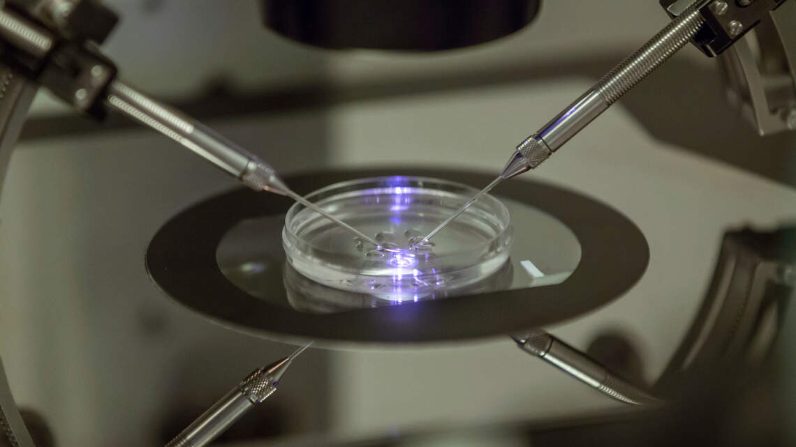Alabama Supreme Court embryo ruling shows why Idaho should dump ‘preborn child’ bill | Opinion