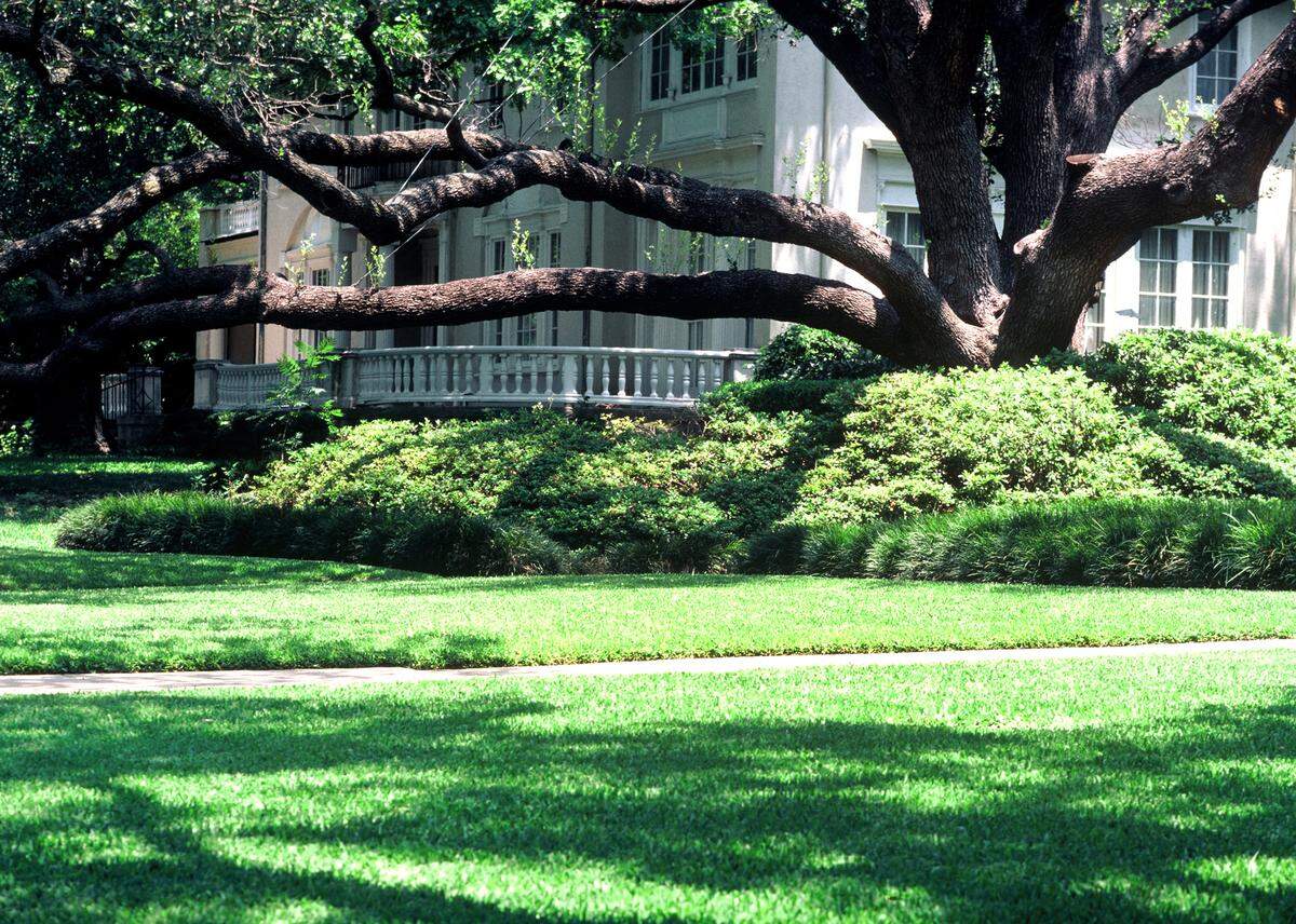 Not your average homesite, but this isn’t your average live oak, either. You can bet they take special care of this tree.