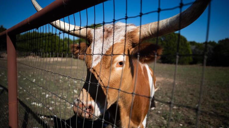 Enthusiasm for Texas’ rural land has waned, but that doesn’t mean land is getting cheaper