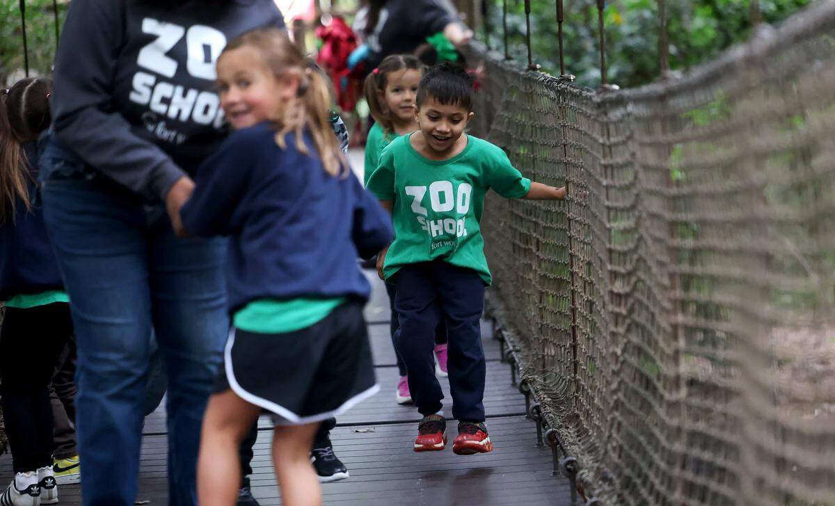 Children jump and laugh on a swinging swamp bridge while taking a hike through the Fort Worth Zoo during Zoo School on Thursday, April 30, 2026. 