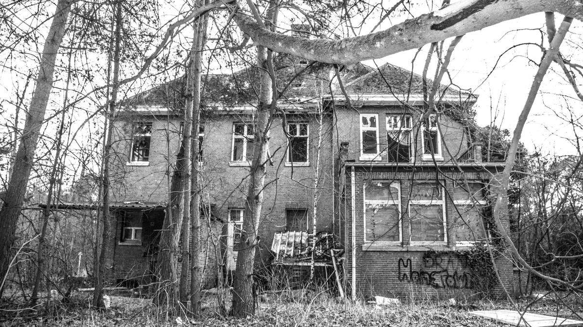 House surrounded with trees on grayscale photography.