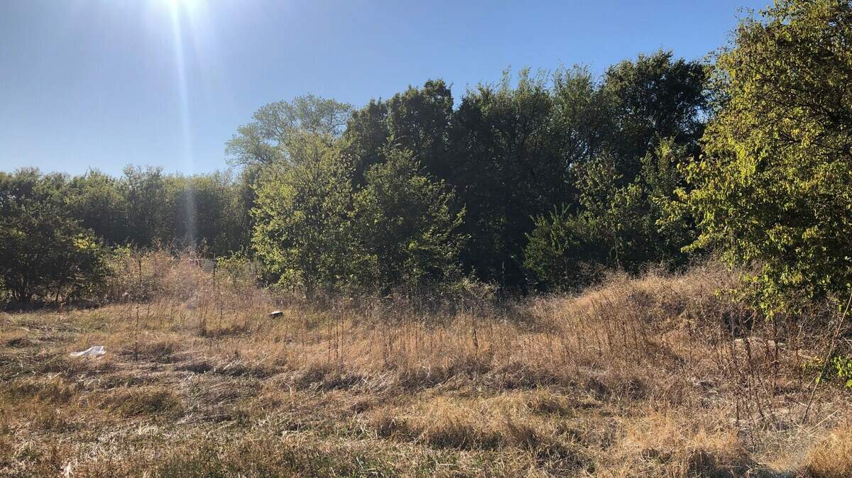 The grassland and shrubs that line Penticost Street south of Diaz Avenue will soon give way to a 47-house development by Houston-based InTown Homes.