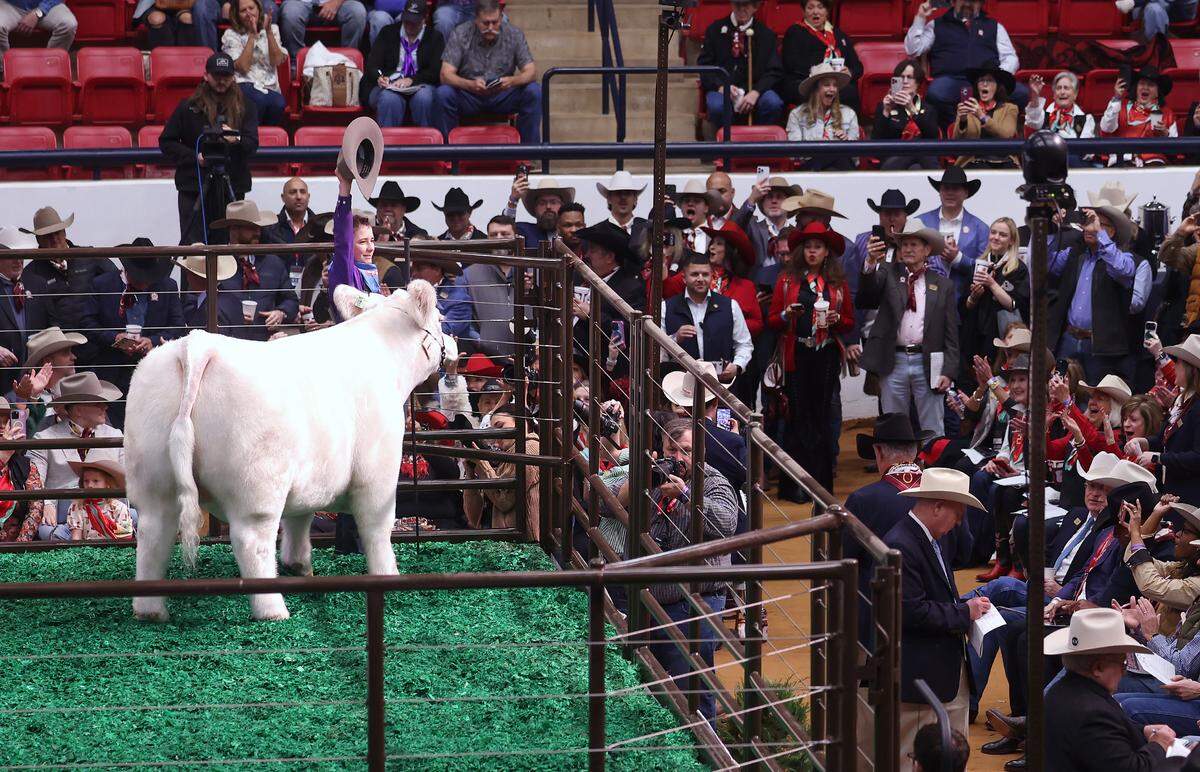 Caiman Cody of Tolar raises his hat to celebrate the recording-breaking sale of White Castle during the Fort Worth Stock Show and Rodeo Junior Sale of Champions on Saturday, Feb. 7, 2026. White Castle was bought by Trico Electric for $550,000.