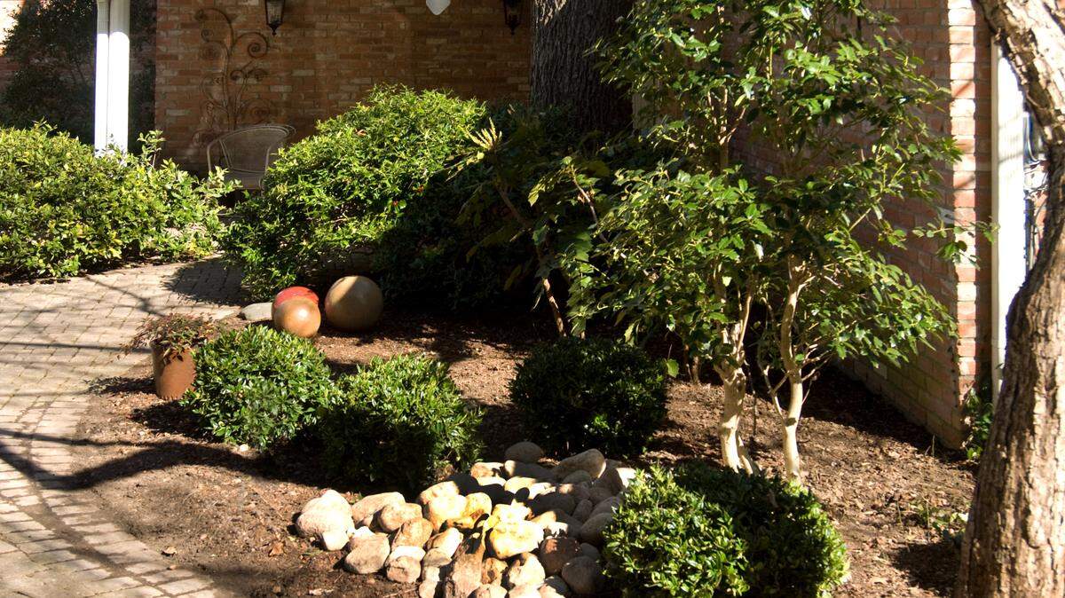 Late fall is a perfect time to make landscaping changes in North Texas.