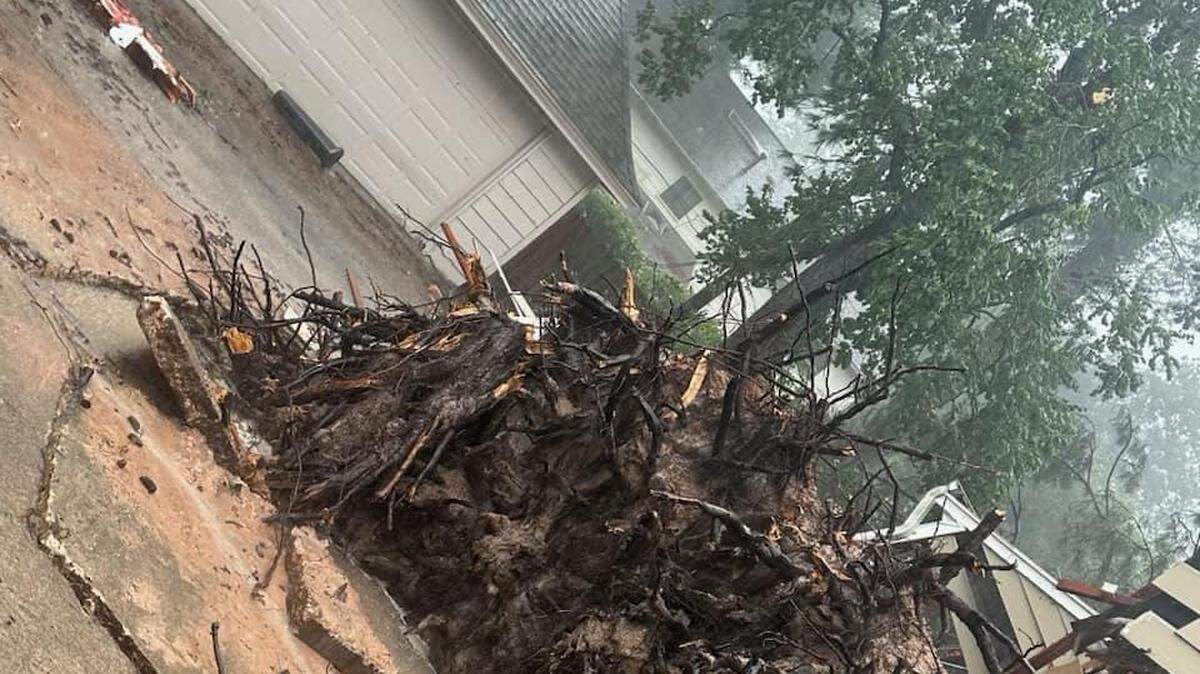 At least two people were killed as a result of trees falling on homes in the Houston area during Tropical Storm Beryl, Texas cops said. 