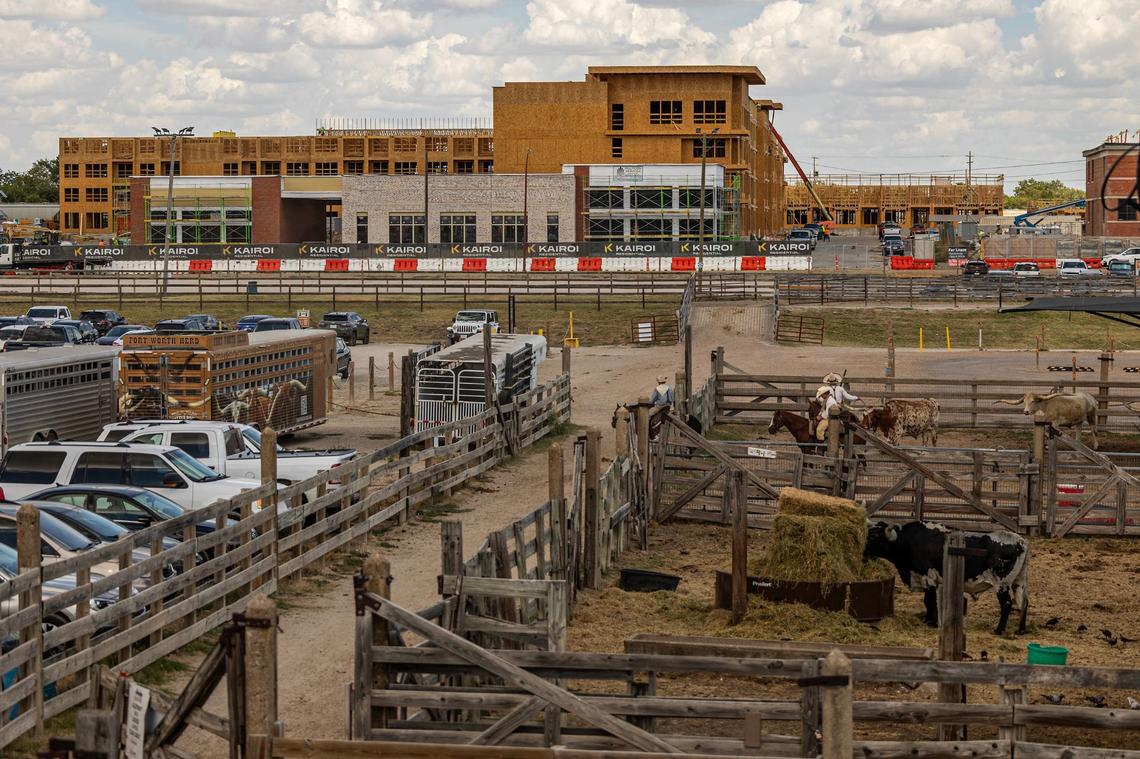 A new apartment development is being built across the way from the cattle stables behind Packers Street at the Fort Worth Stockyards on Thursday, Aug. 15, 2024.
