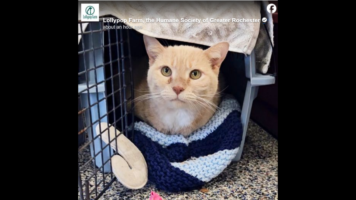 Poor Bella has faced some major heartache and yet still remains a sweetheart.