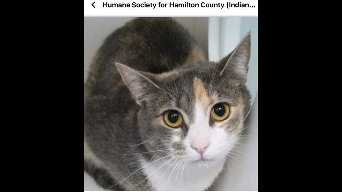 Luna is slowly but surely learning to come out of her shell a bit.