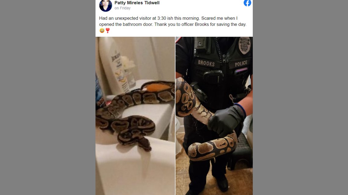 An Andrews, Texas woman called police after she found a large python on top of her toilet.