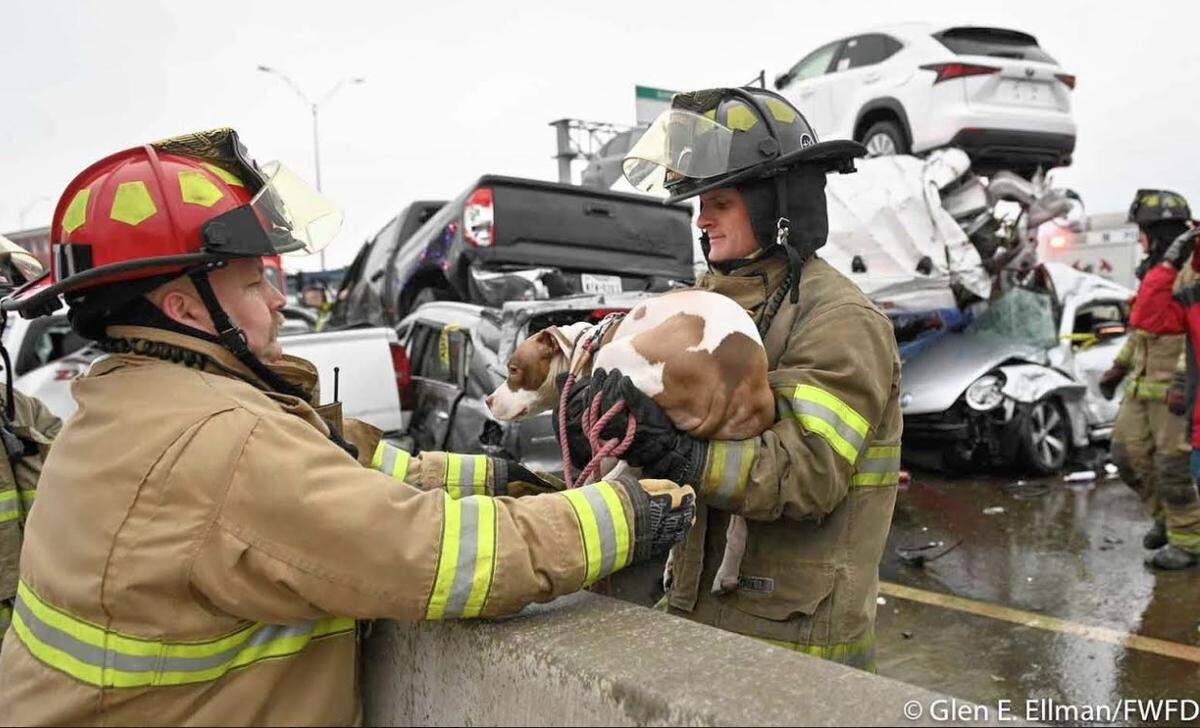 Fort Worth firefighters rescued drivers, passengers and pets Thursday morning, Feb. 11, 2021, from a major traffic crash on Interstate 35W that involved over 100 vehicles.
