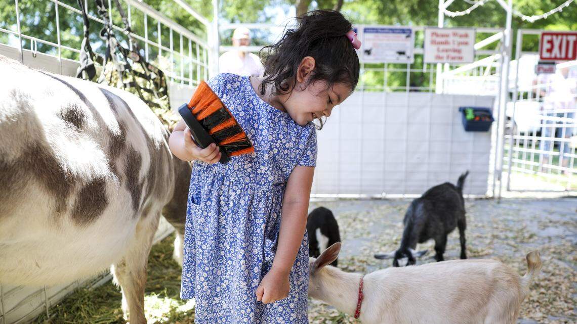 Photos: Mayfest draws thousands to Trinity Park