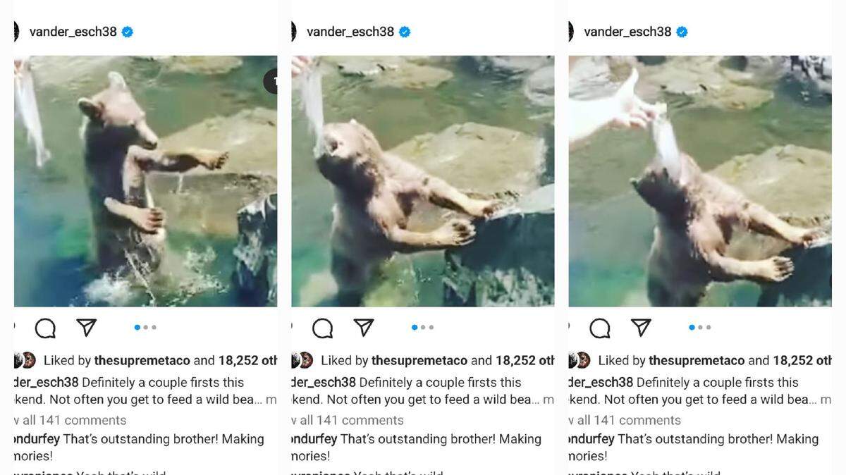 Dallas Cowboys linebacker Leighton Vander Esch posted video of him feeding a fish to a bear while on a fishing trip in Idaho