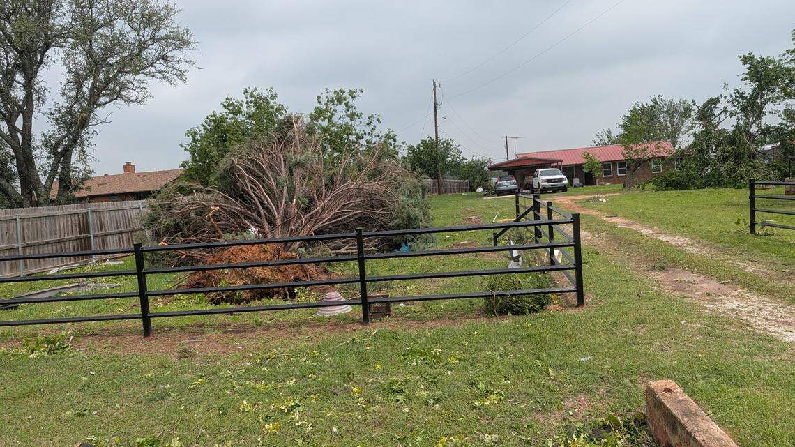 A tree was uprooted in Nadine Taliaferro’s yard in Springtown, Texas, during severe weather on Saturday night, April 25, 2026.