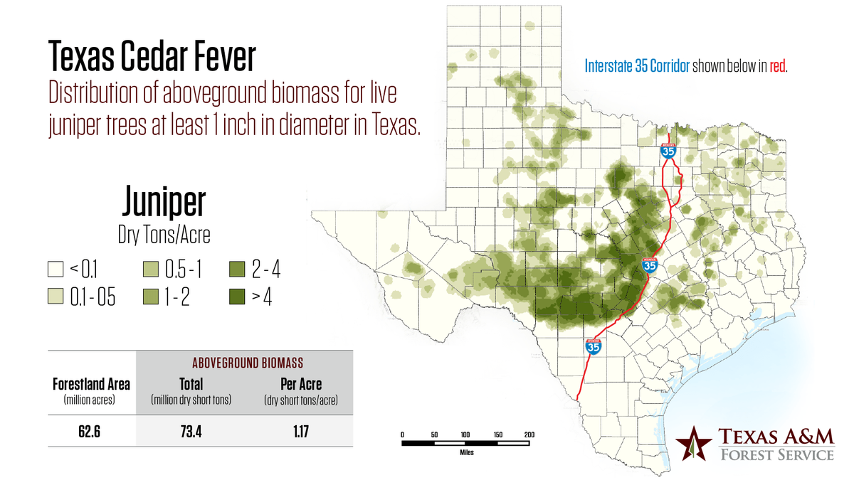 Here’s where Cedar Fever is most likely to happen in Texas.