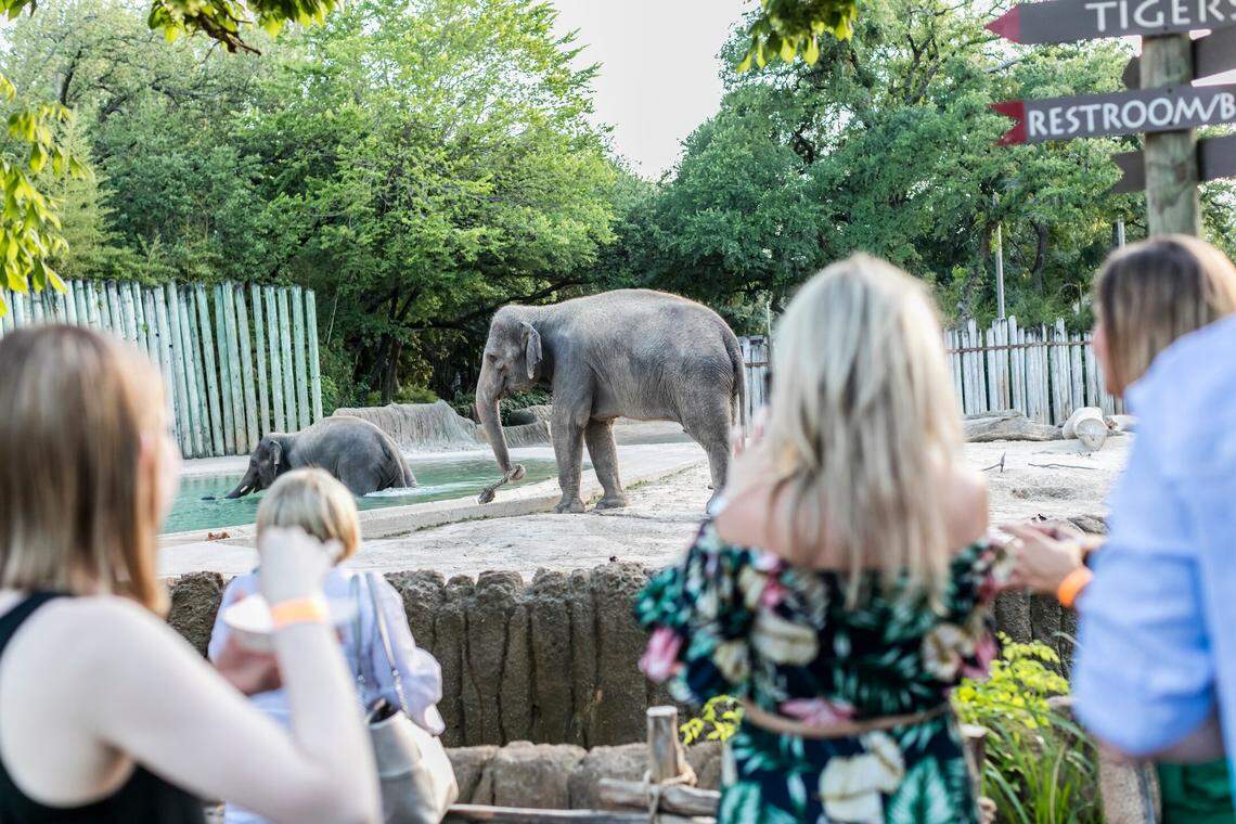 Guests at the Fort Worth Zoo Beastro dine on food from 30 restaurants while they tour the zoo.