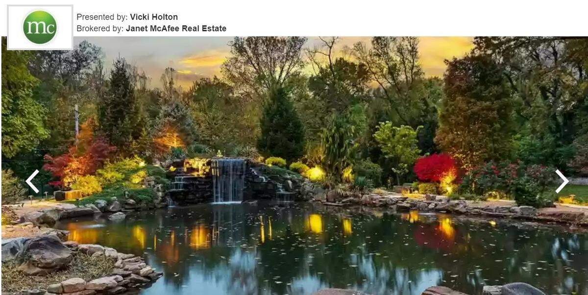 Koi pond