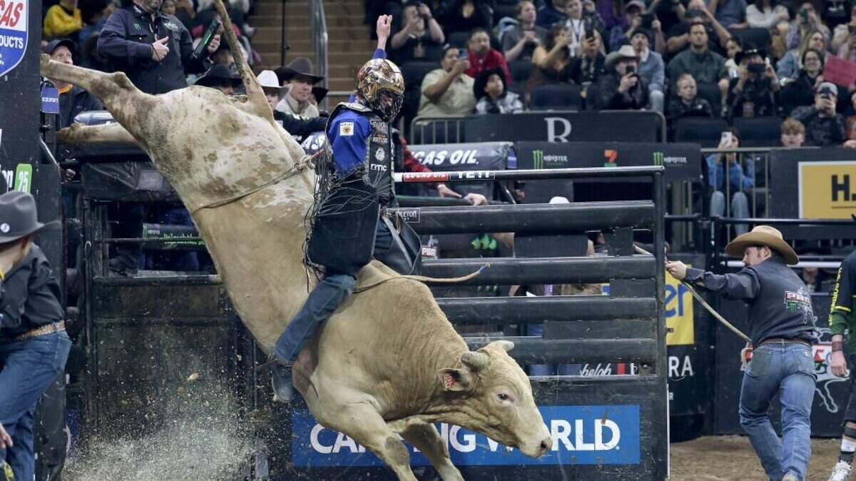 How is bull riding scored? Cody Lambert explains for PBR finals | Fort ...