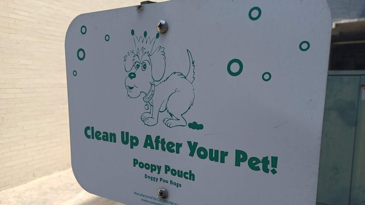 The city says it is hard to punish dog owners who don’t pick up after their pets.
