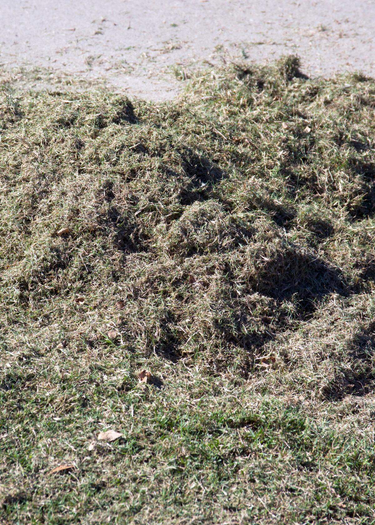 Use grass clippings generated by scalping in compost instead of sending them to the landfill.