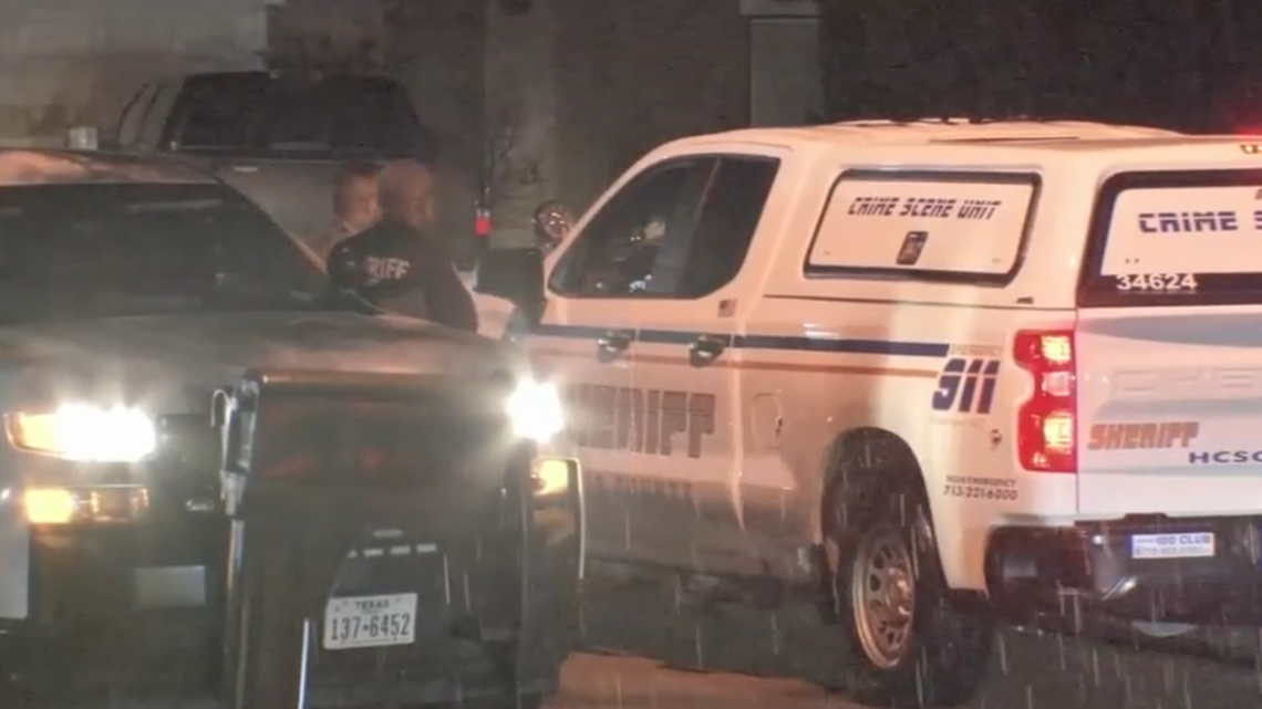 Benjamin Elliott, 17, is charged with murder in the stabbing death of his twin, Meghan, Harris County, Texas officials say. He says he thought it was a dream. Screengrab from KTRK.