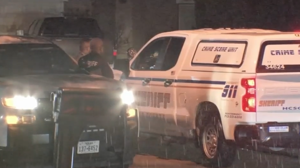 Benjamin Elliott, 17, is charged with murder in the stabbing death of his twin, Meghan, Harris County, Texas officials say. He says he thought it was a dream. Screengrab from KTRK.