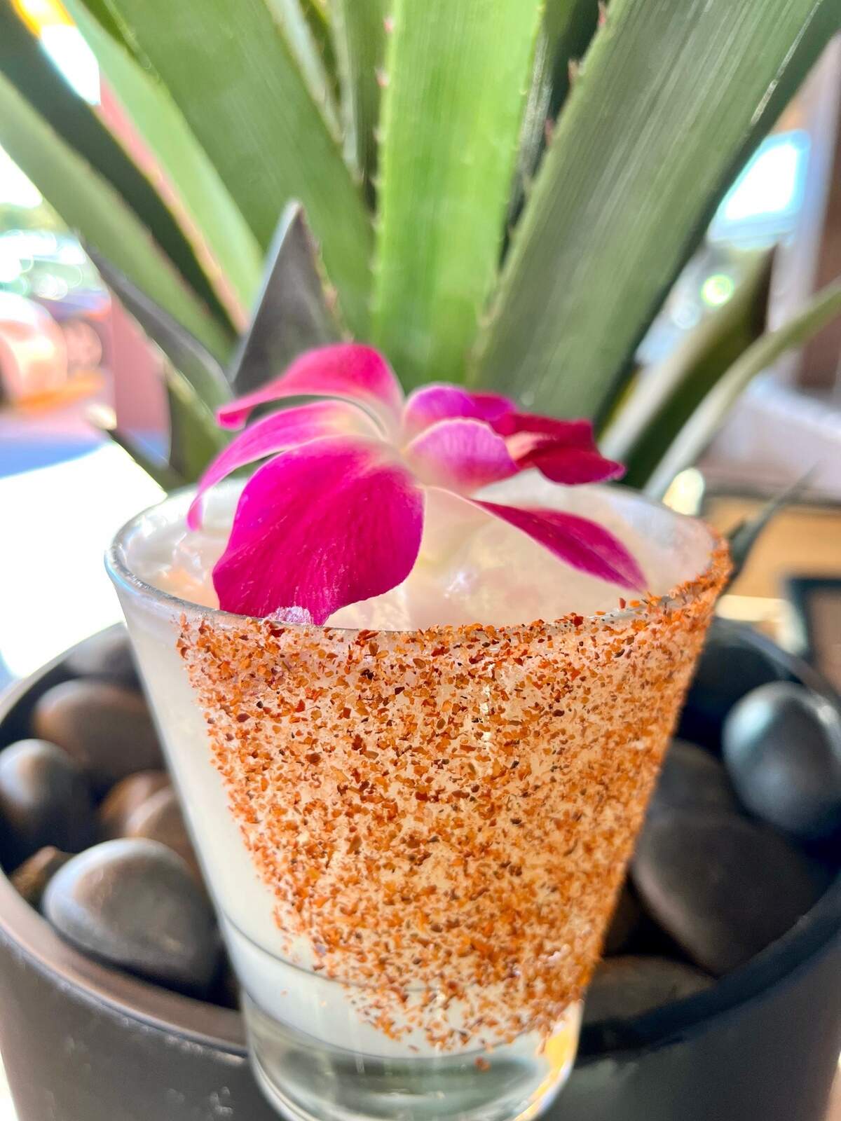 A tropical margarita at Meso Maya.