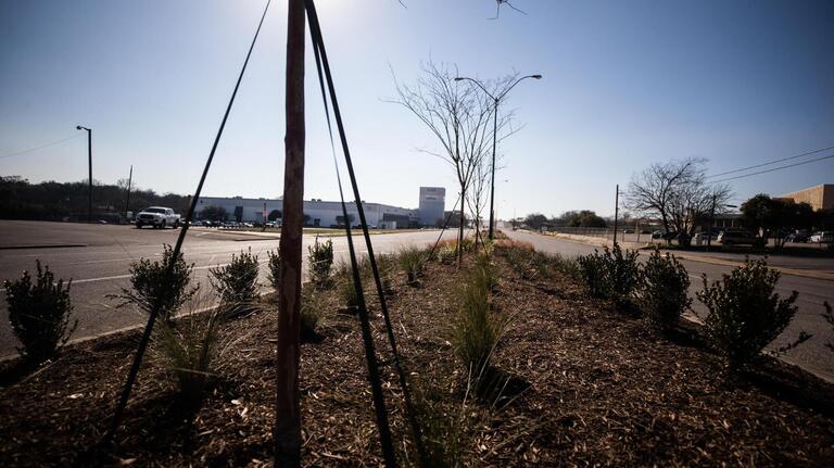 Notice new plants in Fort Worth area neighborhoods? They aren’t there by accident