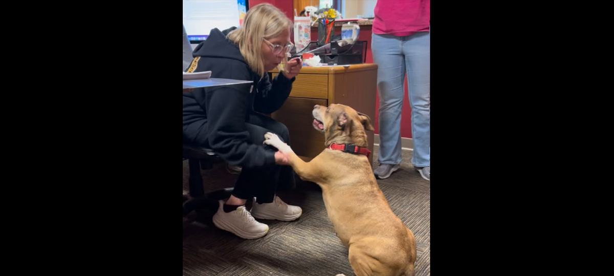 Gypsy with shelter staff
