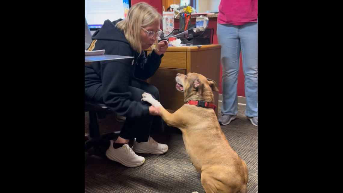 Gypsy with shelter staff