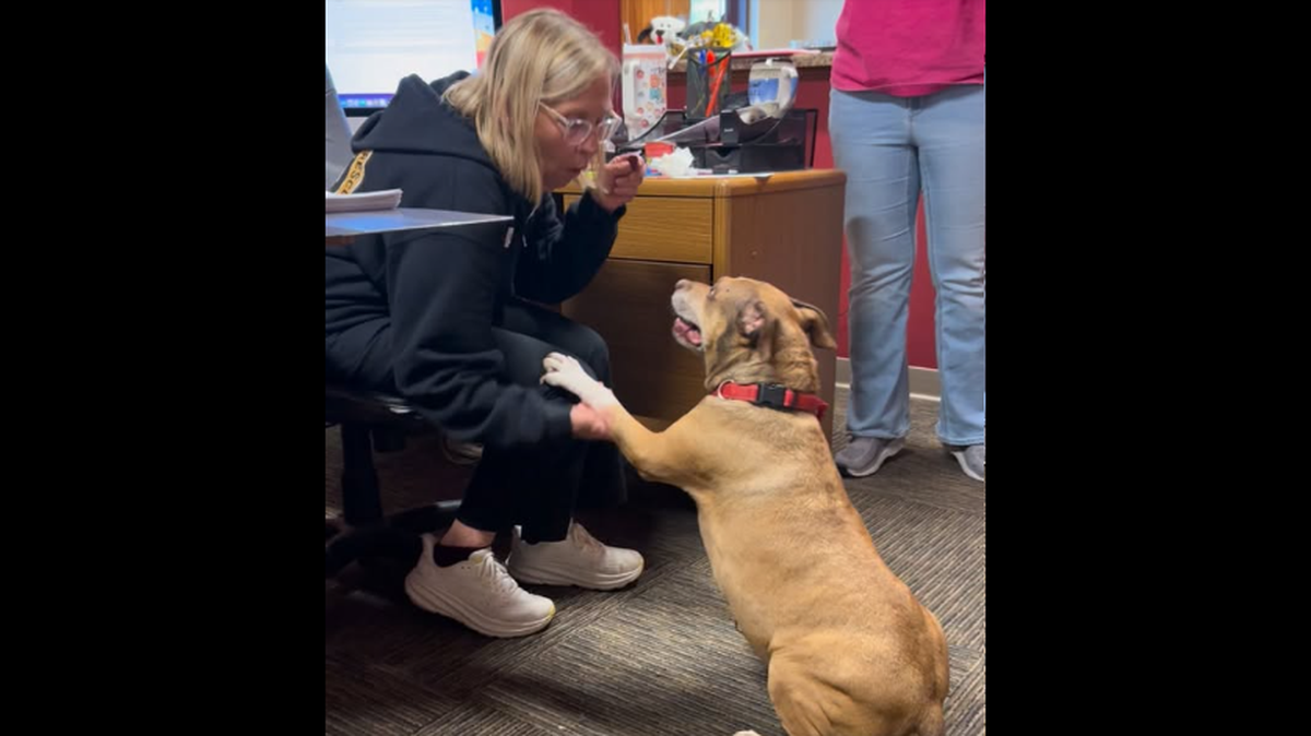 Gypsy with shelter staff