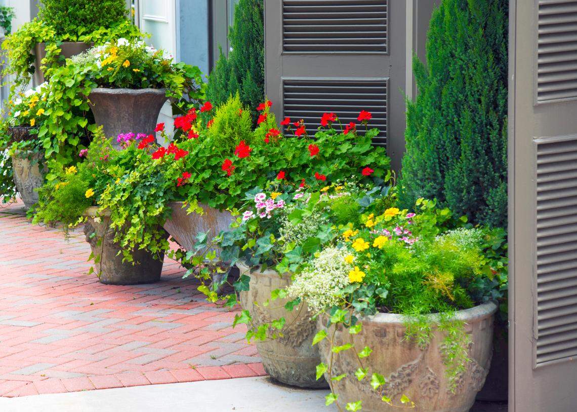 ometimes patio landscaping is easier in containers.