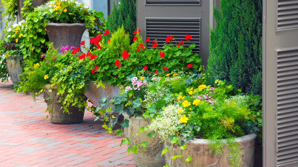 It’s time to start planning your North Texas landscape. Follow these principles for success