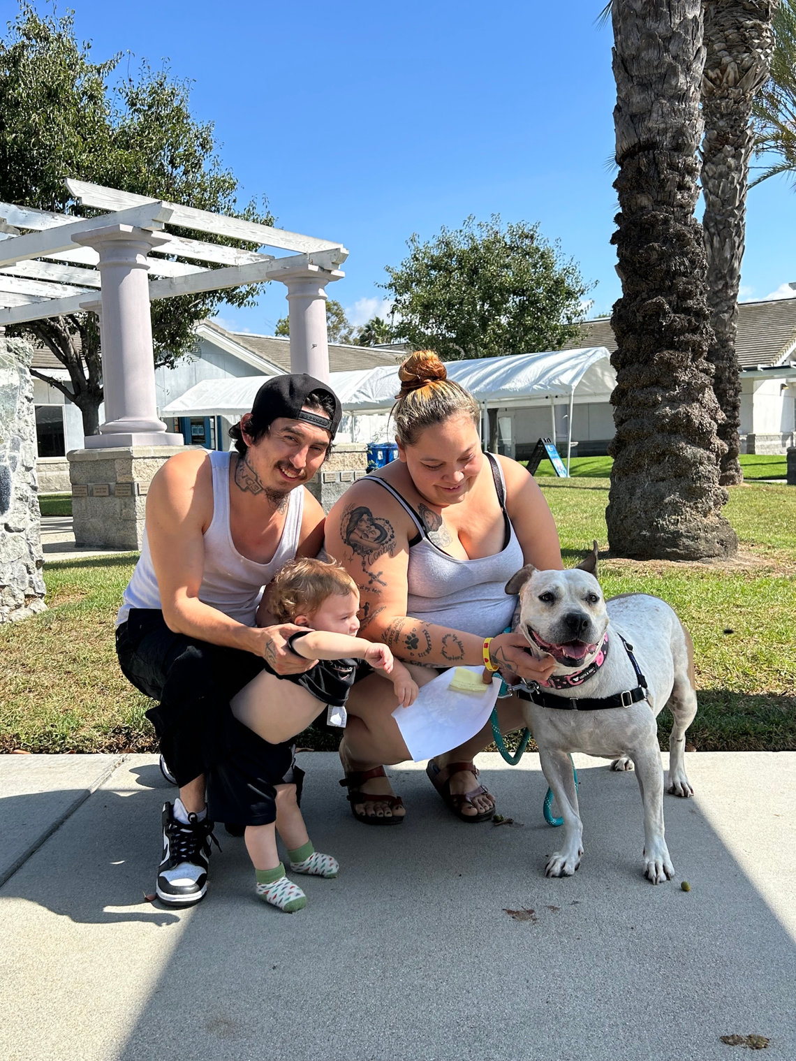 Cinderella, a 6-year-old pit bulll mix, and her new family.