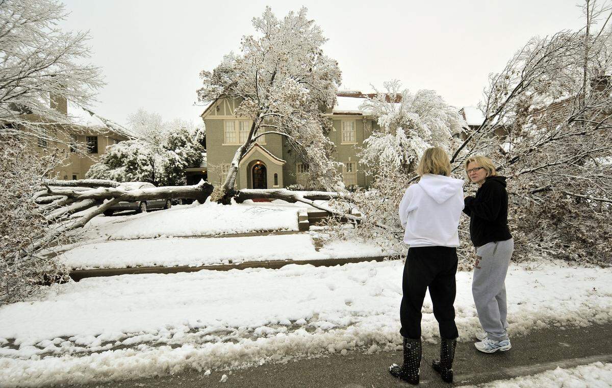 Elizabeth Manning talks to Vickie Walker on Feb. 12, 2010, about Walker's tree that collapsed under the weight the overnight snow. Walker, who lives on Windsor Place in Berkeley Place neighborhood, said that the tree was at least 25 years old.