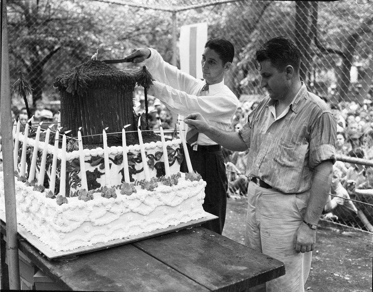 Aug. 12, 1938: Birthday cake for Queen Tut, Forest Park Zoo’s 18-year-old elephant; lighting candles is zookeeper Hamilton Hittson, and Byron Buckeridge, the zoo’s educational director, cuts the cake.