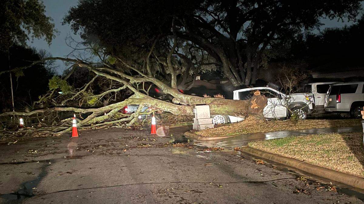 A large tree blocks a road in North Richland Hills after a storm on Thursday, March 2, 2023.