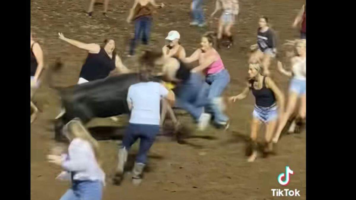 Video posted on TikTok shows what appears to be a few not-so-pleasant encounters with a rambunctious steer during Wednesday’s 68th annual ​Johnson County Sheriff’s Posse rodeo in Cleburne.