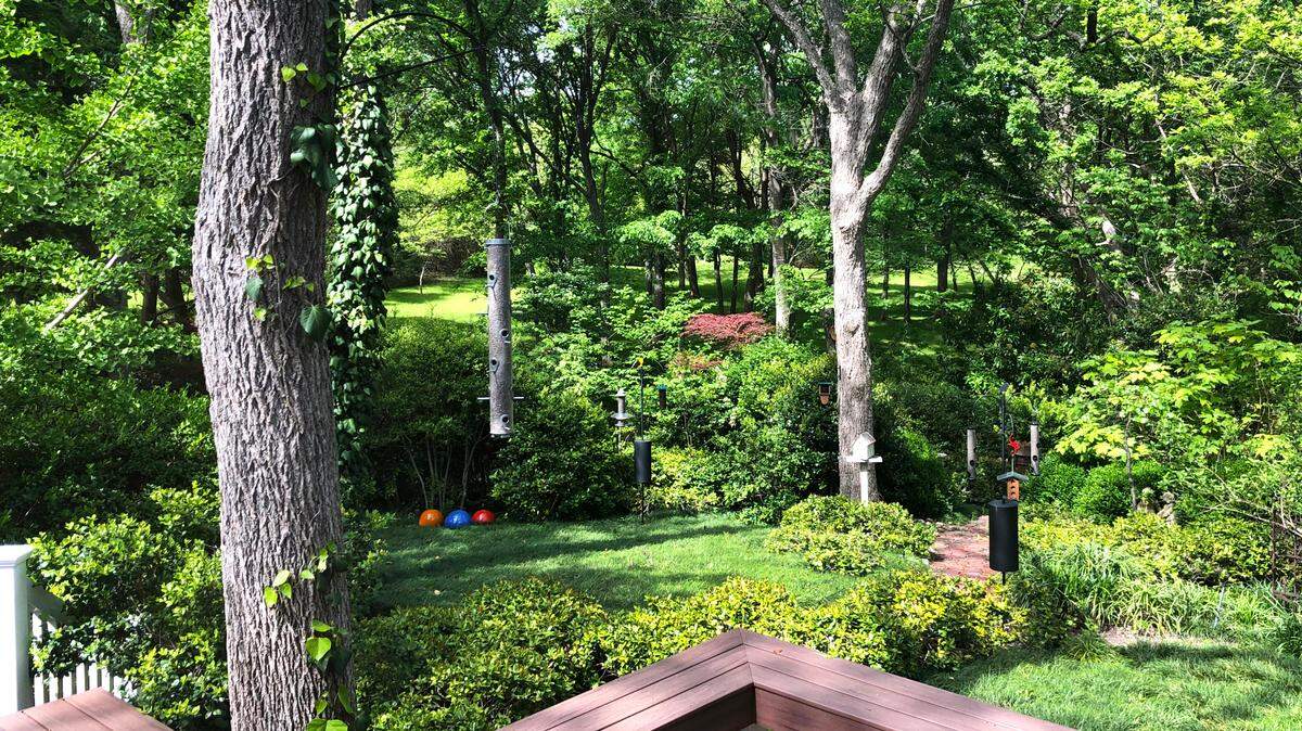 The Sperry backyard landscape has a natural look.
