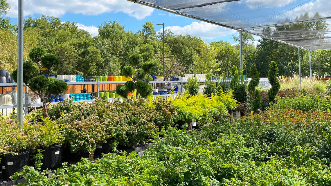 TX gardening expert Neil Sperry reflects on changes that have given us new plants & products