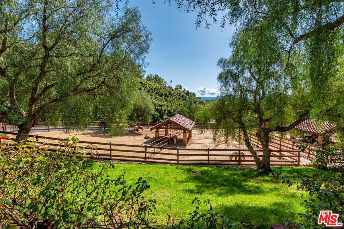 Mini-horse farm