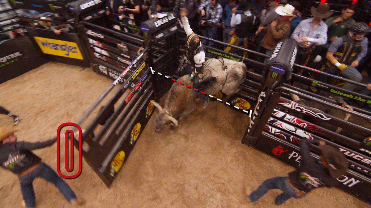 A bull rider at the start of the event.